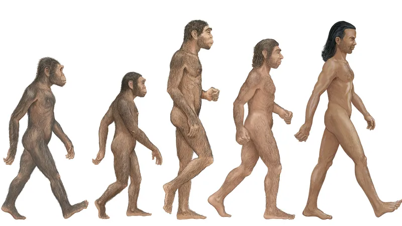 Human being là gì? Cấu trúc và cách dùng cụm từ Human Being
