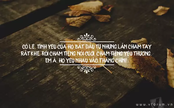 Tổng hợp 1001+ Stt hay hài đểu, câu like, im lặng, sự cô đơn, cố gắng, người thứ 3, về son môi, mùa thu thiên nhiên…