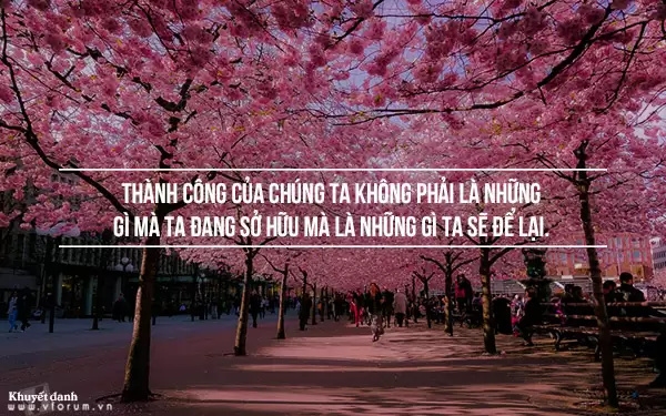 Tổng hợp 1001+ Stt hay hài đểu, câu like, im lặng, sự cô đơn, cố gắng, người thứ 3, về son môi, mùa thu thiên nhiên…