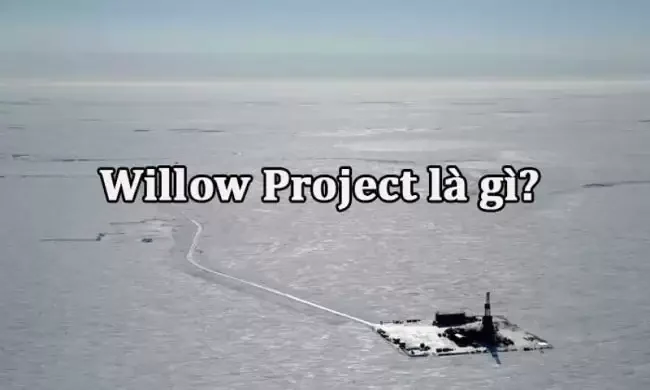 Willow Project là gì? Tác động của Willow Project đến Môi trường