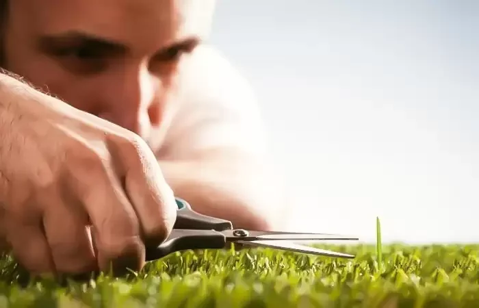 Cầu toàn là gì? Người cầu toàn có tốt không? Ưu điểm và nhược điểm của người cầu toàn