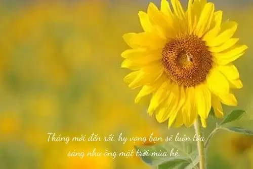 Lời chúc mùng 1 đầu tháng may mắn, Stt tháng mới bình an-1
