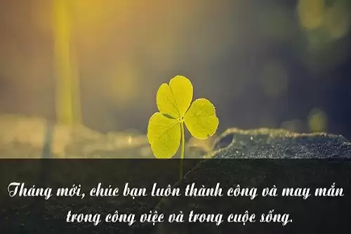 Lời chúc mùng 1 đầu tháng may mắn, Stt tháng mới bình an-5