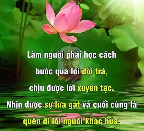 Những câu nói hay về sự nhẫn nhịn, Status ngắn về nhường nhịn-1