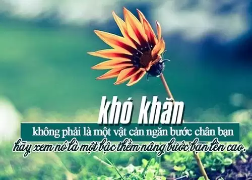 Những câu nói hay về tinh thần lạc quan, Stt lạc quan yêu đời-5