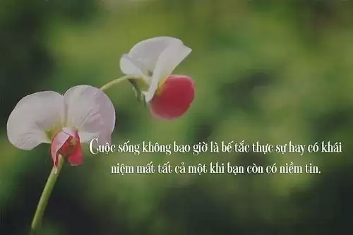 Những câu nói hay về tinh thần lạc quan, Stt lạc quan yêu đời-6