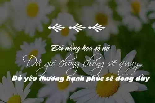 Những câu nói hay về tinh thần lạc quan, Stt lạc quan yêu đời-3