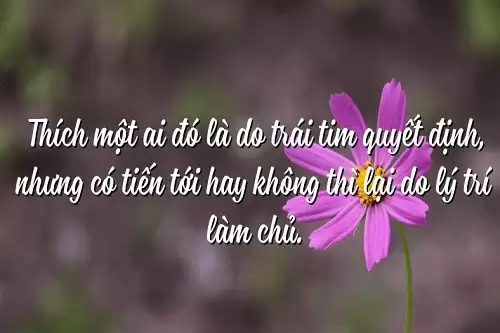 Những câu nói hay về trái tim yêu thương, Stt lý trí và con tim-2