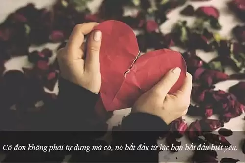 Những câu nói hay về trái tim yêu thương, Stt lý trí và con tim-4