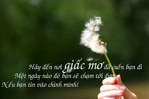 Những câu nói hay về ước mơ, Stt ước mơ thành công-2