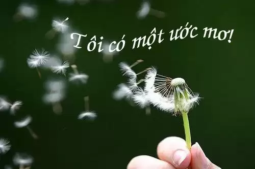 Những câu nói hay về ước mơ, Stt ước mơ thành công-1