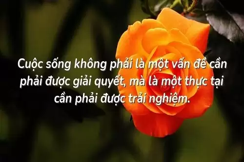 Những câu nói về trải nghiệm cuộc sống, Stt trải nghiệm cùng con-4