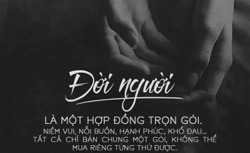Những câu stt deep hay về tình yêu cuộc sống dành cho hội sống ảo-2