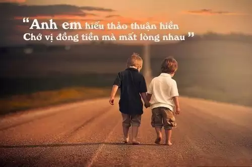 STT anh em ruột trong nhà, Cap anh em xã hội chất-1