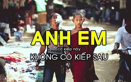 STT anh em ruột trong nhà, Cap anh em xã hội chất-2
