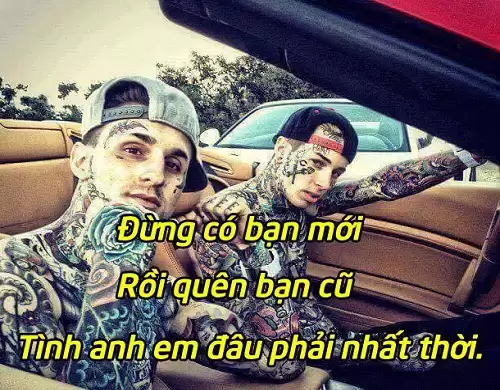 STT anh em ruột trong nhà, Cap anh em xã hội chất-4