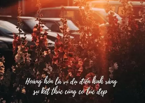 STT hoàng hôn ngắn, STT về bầu trời hoàng hôn-5