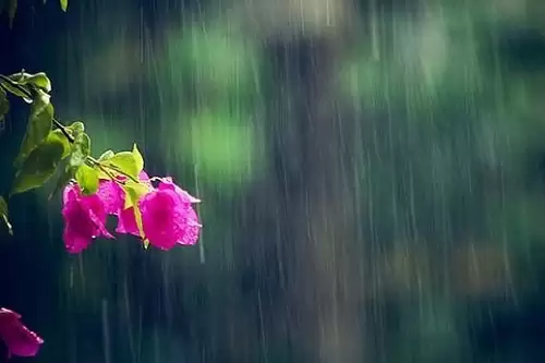 STT tháng 5 – Những câu nói hay chào tháng 5 rực rỡ-3