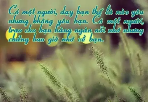 Hình ảnh buồn về tình yêu xem là khóc-19