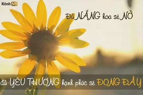 Hình ảnh buồn về tình yêu xem là khóc-38