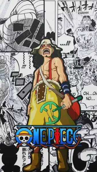Hình Nền One Piece 4K Đẹp cho Điện Thoại và Máy Tính-2
